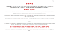 Desktop Screenshot of bionic.co.uk